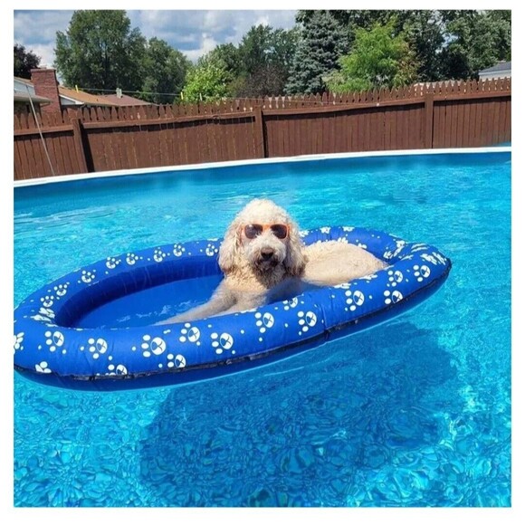 Dog Pool Float Inflatable Dog Floats for Pool Dog Floaties Swimming Pool Floa... - Picture 2 of 6